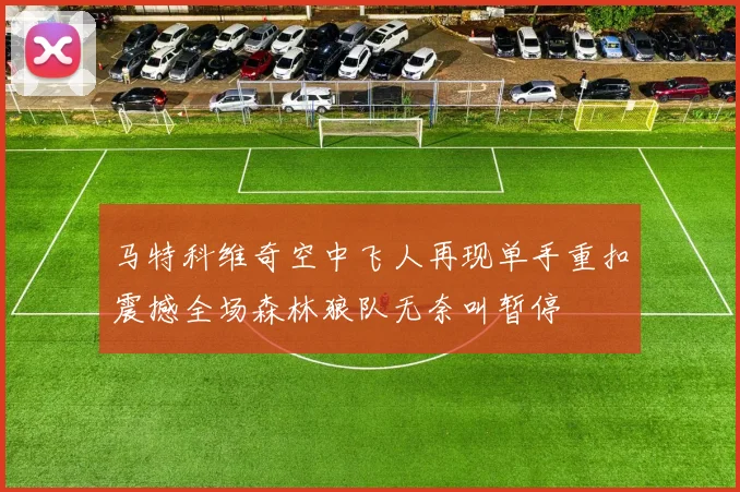 马特科维奇空中飞人再现单手重扣震撼全场森林狼队无奈叫暂停