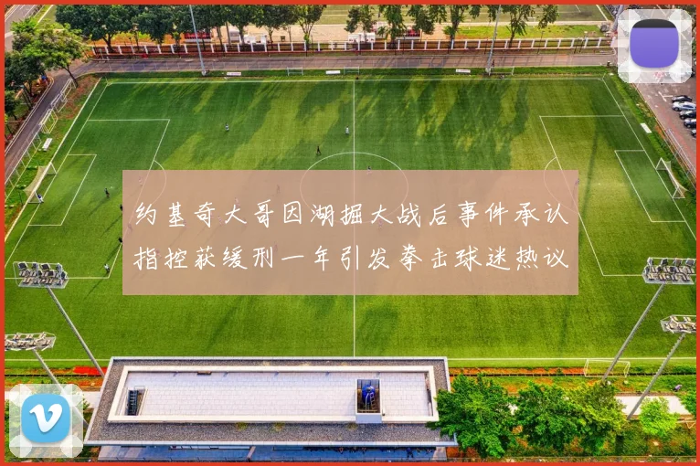 约基奇大哥因湖掘大战后事件承认指控获缓刑一年引发拳击球迷热议