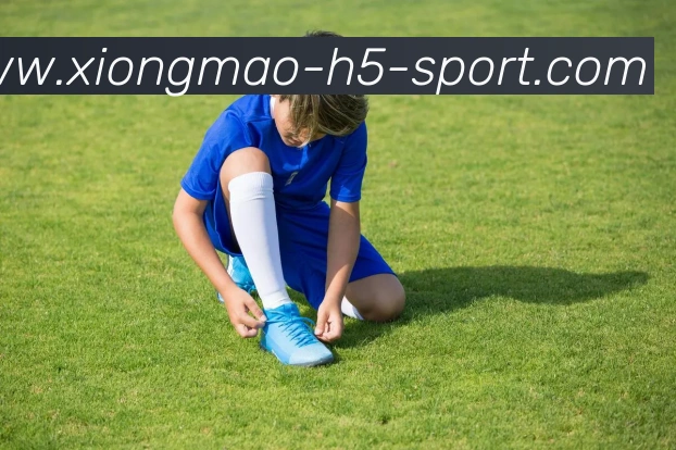 熊猫体育平台生态图